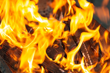 Fototapeta premium Kind fire from firewood for cooking on the street.