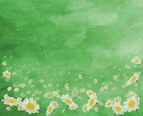 Fototapeta na wymiar illustration of a camomile on a green field . Many cute daisies in the grass.flower family symbol. EMPTY copy SPACE ON A SPRING CARD. 
