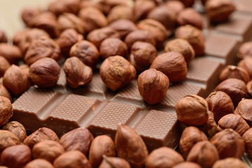 chocolate with hazelnuts
