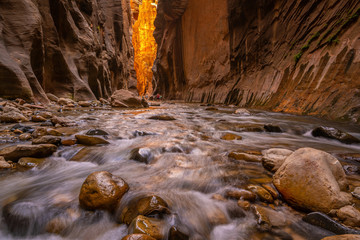 Amazing landscape of canyon in Zion National Park, The Narrow