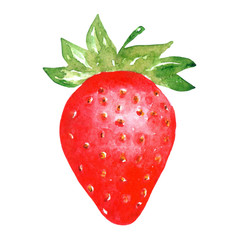 Hand drawn watercolor strawberry