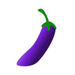 Eggplant icon vector illustration in colour design