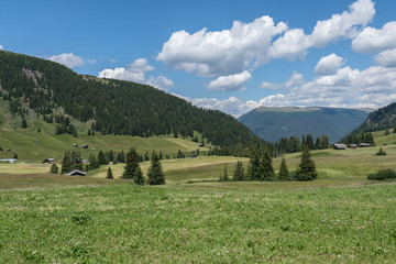 Landscapes on Alpe di Siusi with Sassolungo or Langkofel Mountain Group in Background in Summer, South Tyrol, Italy