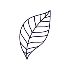 leaf foliage nature ecology icon