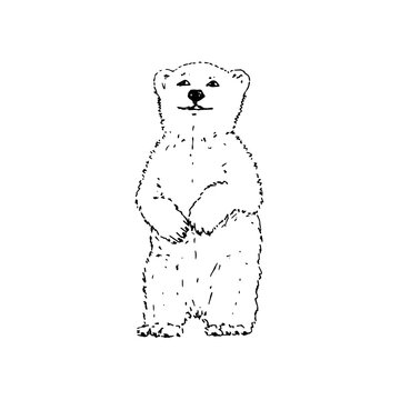 Polar bear. Black outline on white background. Picture can be used in greeting cards, posters, flyers, banners, logo, further design etc. Vector illustration. EPS10