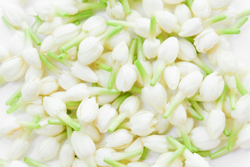 Background of fresh jasmine