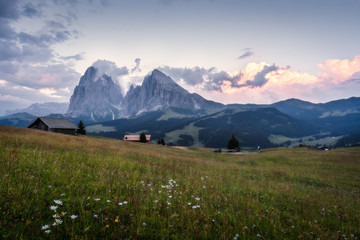 Sunset landscapes on Alpe di Siusi with Sassolungo or Langkofel Mountain Group in Background in Summer, South Tyrol, Italy