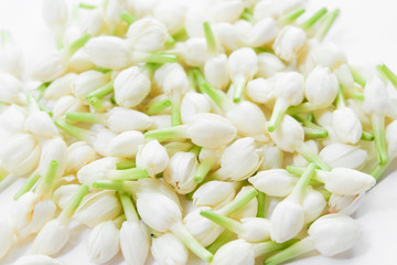 Background of fresh jasmine