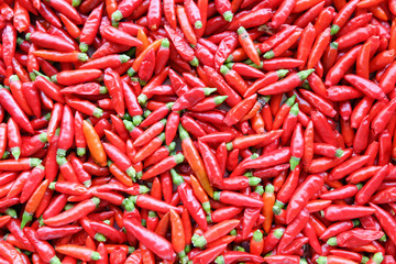 Red chili peppers