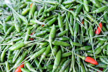 Red and green chillies mixed