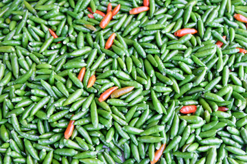 Red and green chillies mixed