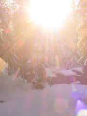 Sonnenlicht scheint in romantische Winterlandschaft mit Schnee auf den Bäumen und verschneiten Hütten im Gebirge. Winterlandschaft