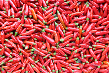 Red chili peppers