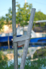 Tree and wooden lath tied with ribbon.