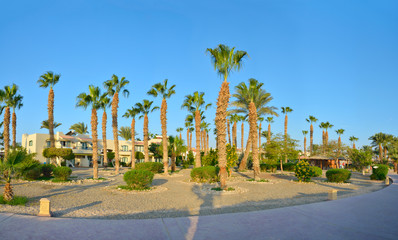 Fototapeta premium Beautiful Green Garden in an Egyptian hotel