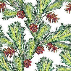Fototapeta premium Fir and cones christmas illustration, seamess pattern.