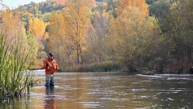 fly fisherman in river in autumn
