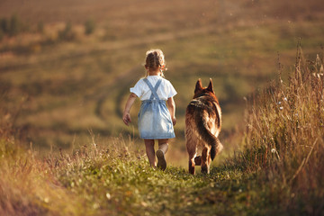 girl and dog walk in the field in summer