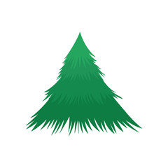 pine tree nature icon on white background