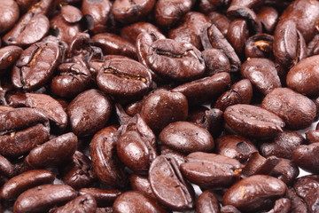 Roasted coffee bean for background