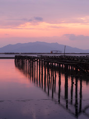 Obraz premium Półka na ostrygi