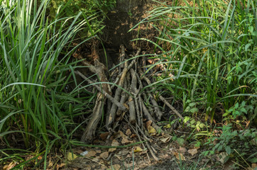 Small creek among grass with a wooden bridge