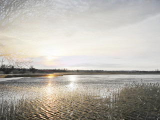The mixed image of the view of the ice on the surface of the lake and the natural background of the view of the lake shore at the cold spring day at the City Park. 