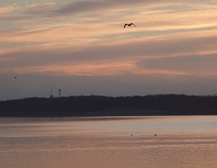 Sunrise at the Reservoir 1