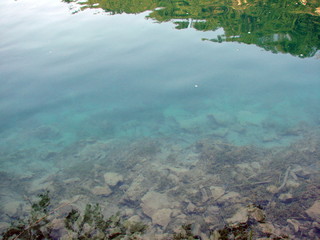 Panorama of a clear, transparent surface of a mountain lake, through which water you can see the bottom covered with plants and old trees.