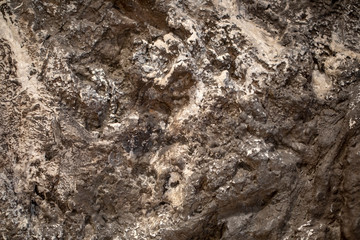 Rock Close up Texture