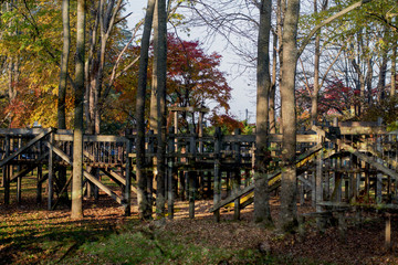 木の遊具の公園