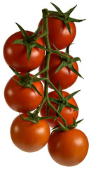 Tomatoes