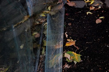 autumn leaves, broken glass window