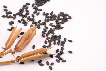 Raw Black Sesame seeds and dry pod on isolated white background.