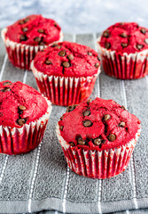 Red Velvet Cupcakes / Muffins with Chocolate Chips Vertical Photo.