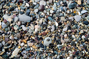 Background from pebble for design