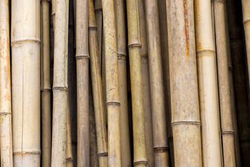 Bamboo fence in garden for bamboo background and texture.