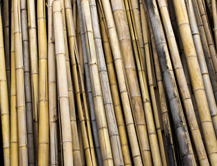 Bamboo fence in garden for bamboo background and texture.