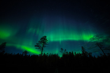Northern lights in Akaslompolo, Lapland, Finland