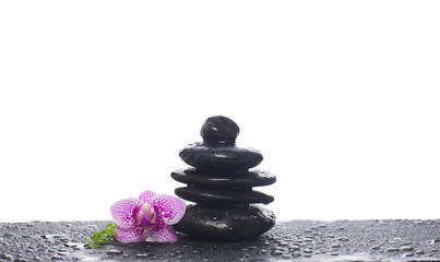 Beautiful spa composition. Black zen stones and orchid flowers
