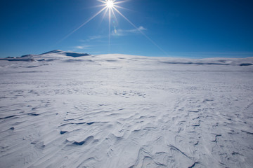 Winter in Dovrefjell National Park, Norway