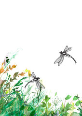Watercolor illustration. background with  floral pattern - grass, wild plants of green color. Watercolor card, postcard, invitation. Dragonfly flies   insects, moths. Summer landscape.