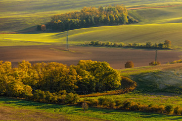 Fototapeta na wymiar Autumn in Moravia Fields in Czech Republic near Brno with beautifull colors