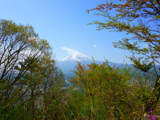 Fototapeta premium Fuji view from the top of the mountain Tenjo-Yama. Landscape beautiful Mount Fuji, Japan. Branches of trees and bushes
