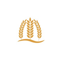 Agriculture wheat Logo Template vector icon