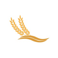 Agriculture wheat Logo Template vector icon