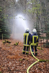 Feuerwehr löscht Waldbrand