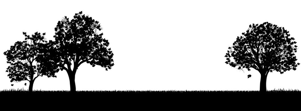 A field of grass or park and trees in silhouette background design element