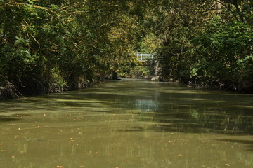 Bridge over the water channel in Park Marais Poitevin near Maillezais in France,Europe