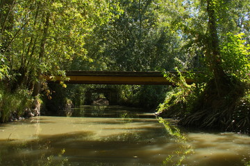 Bridge over the water channel in Park Marais Poitevin near Maillezais in France,Europe